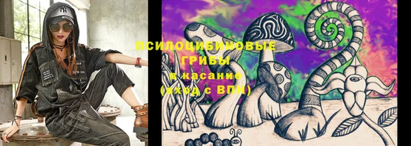 молекула духа Балабаново